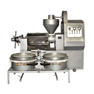 Max Capacity 300 kg/h 6yl Pomegranate Seed Oil Extraction Machine Jatropha Oil Press Machine with Oil Vacuum Filter 98%-100%