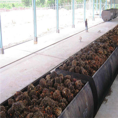 Palm Oil Processing Mill Continuous Sterilizer Crude Cooking Palm Kernel Oil Refinery Mill Process Crushing Production Line Plant Machine